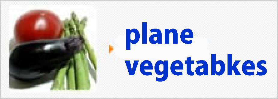 平面野菜
